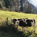Malerwinkel, Forsthaus Dom wakacyjny