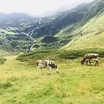 Dom wakacyjny Malerwinkel, Forsthaus *