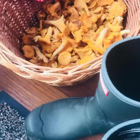 Feriehus Malerwinkel, Forsthaus *